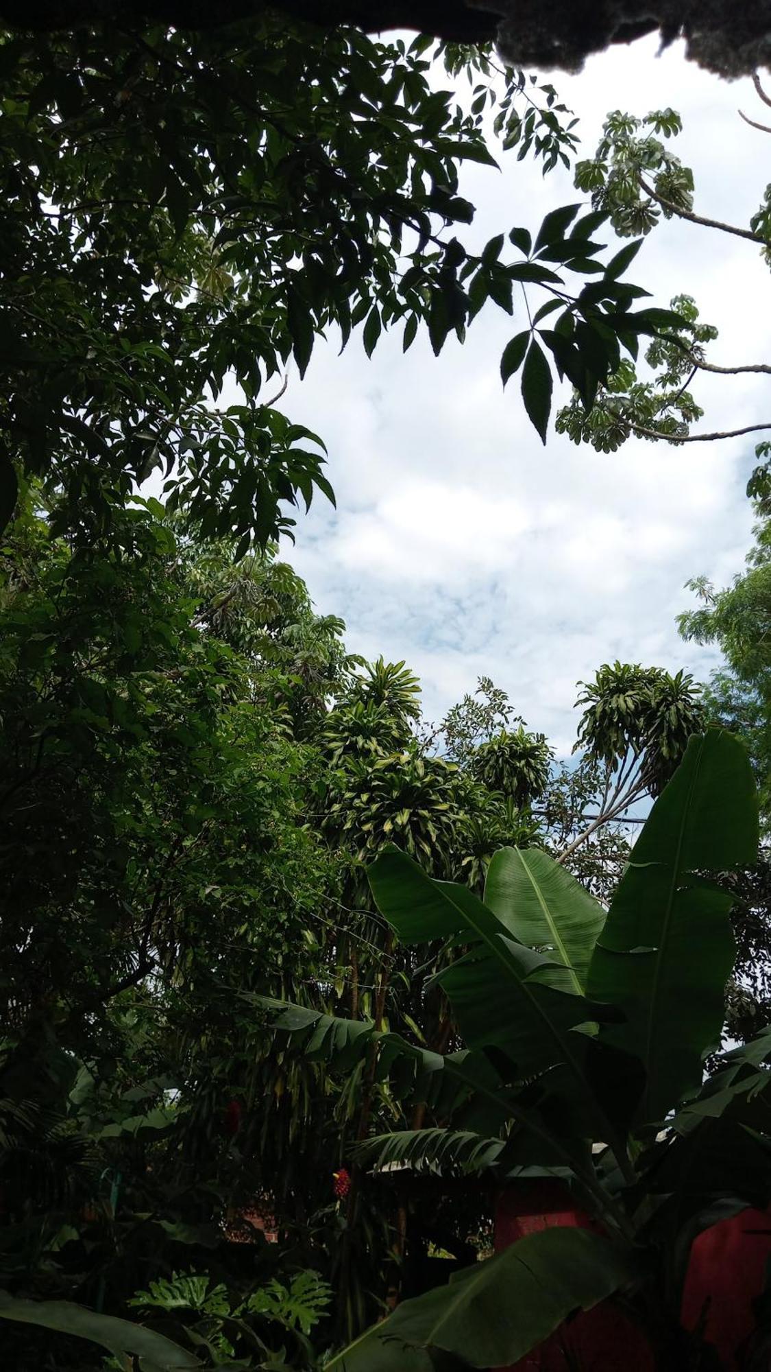 Posada Maria Iguazu Пуэрто-Игуасу Экстерьер фото
