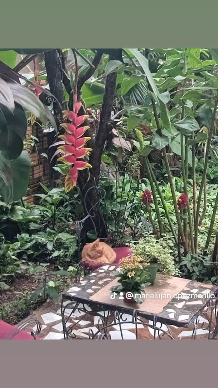 Posada Maria Iguazu Пуэрто-Игуасу Экстерьер фото