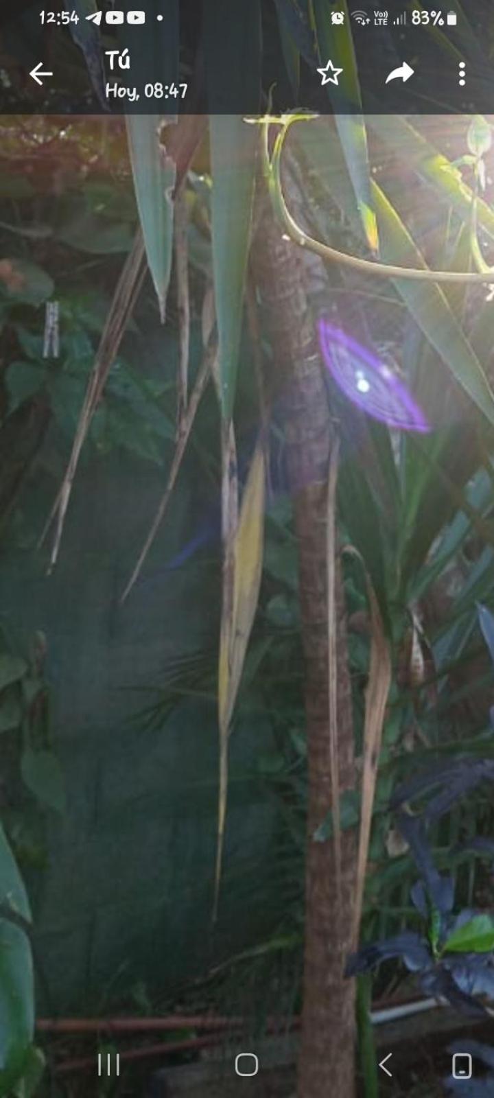 Posada Maria Iguazu Пуэрто-Игуасу Экстерьер фото
