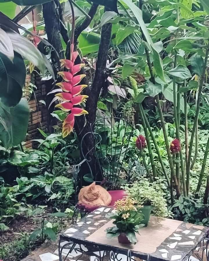 Posada Maria Iguazu Пуэрто-Игуасу Экстерьер фото