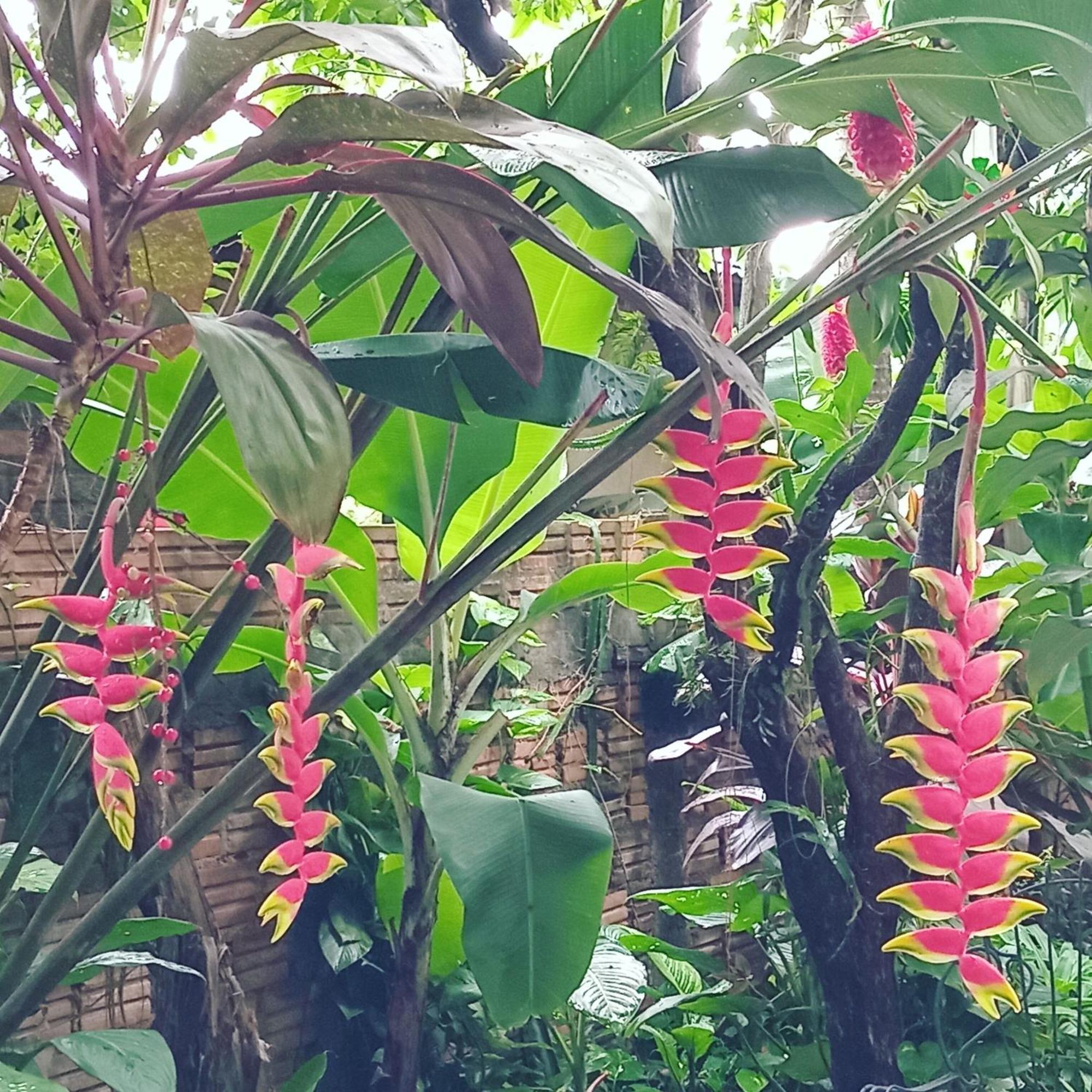 Posada Maria Iguazu Пуэрто-Игуасу Экстерьер фото