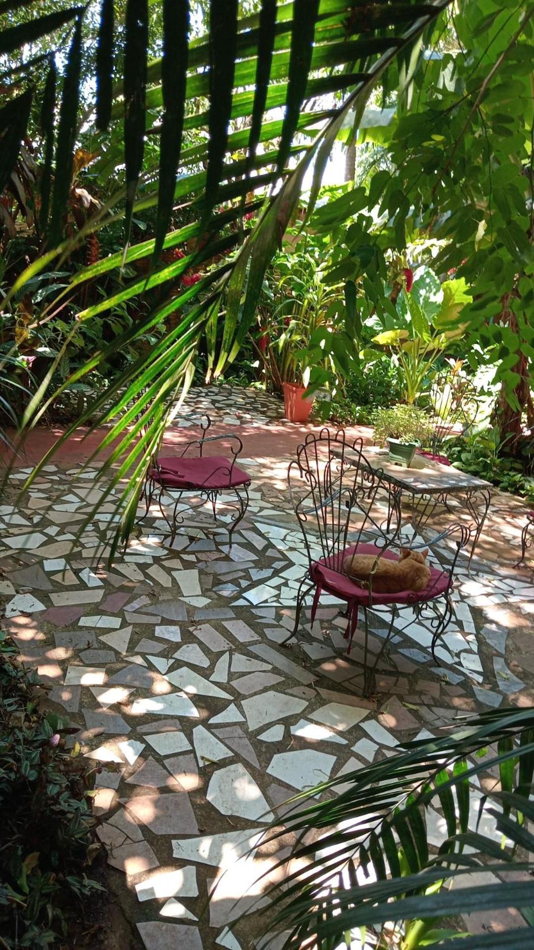 Posada Maria Iguazu Пуэрто-Игуасу Экстерьер фото